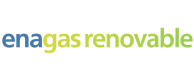Logo Enagas renovable